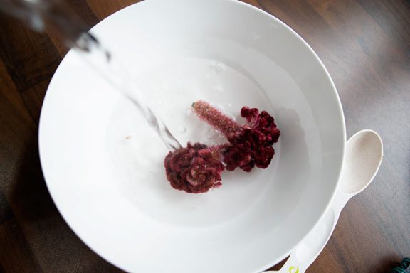 hot water being poured on mawal (cockscomb flower) for red food colour